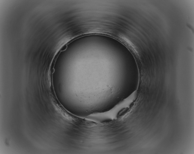 X0000093770892200710161239