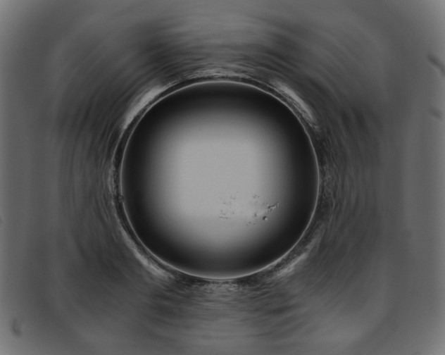 X0000093770893200710161239