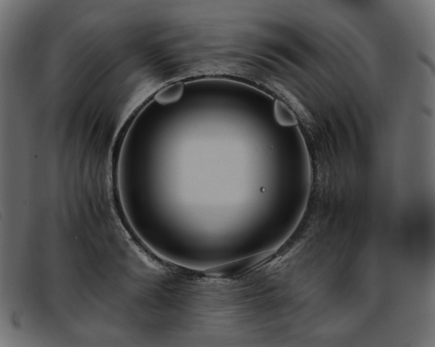 X0000093770894200710161239