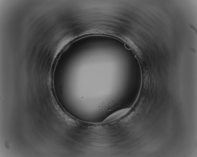 X0000093770896200710161239