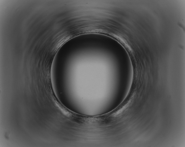 X0000093770897200710161239
