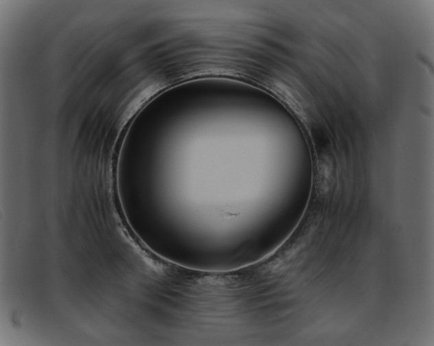 X0000093770898200710161239