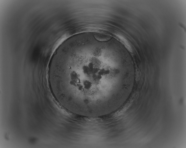 X0000093770899200710161239