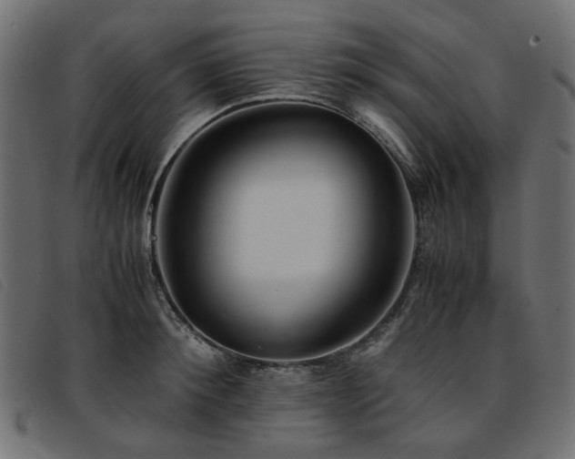 X0000093770900200710161239