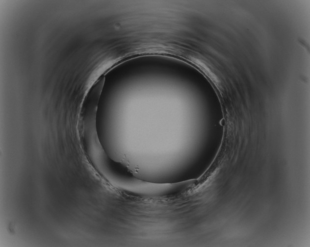 X0000093770901200710161239