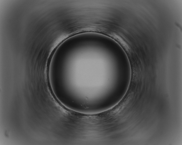 X0000093770902200710161239