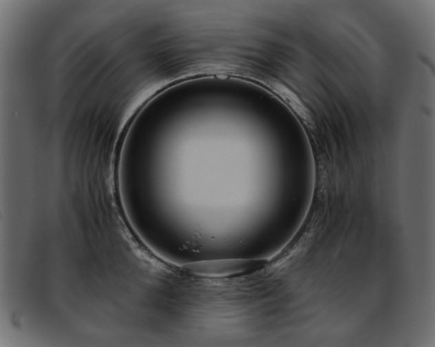 X0000093770904200710161239