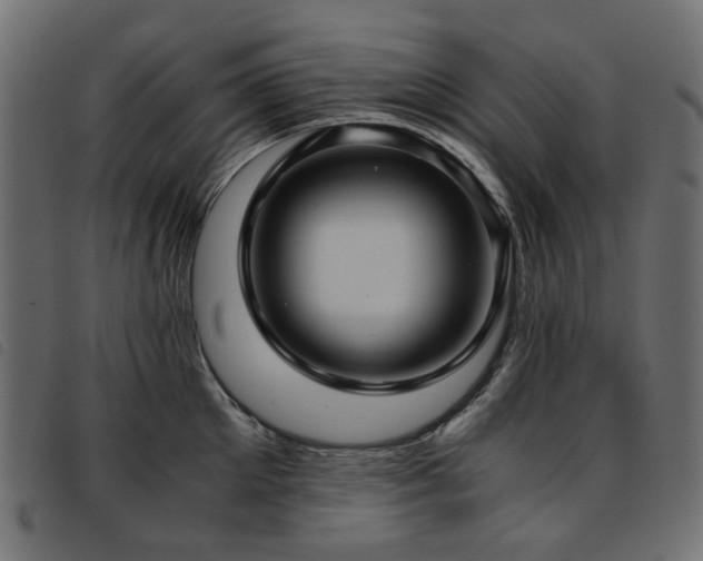 X0000093770905200710161239