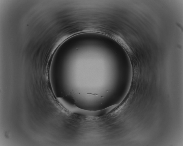 X0000093770908200710161239