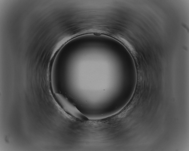 X0000093770910200710161239