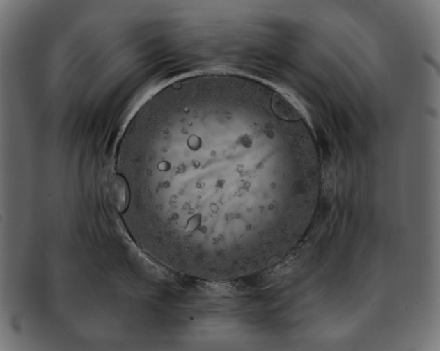 X0000093770911200710161239
