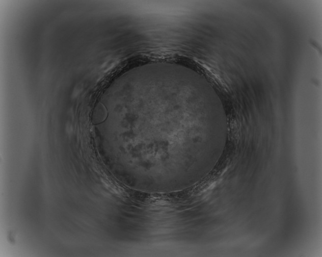 X0000093770913200710161239