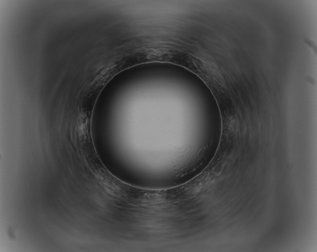 X0000093770914200710161239