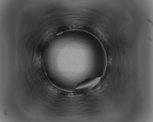 X0000093770915200710161239
