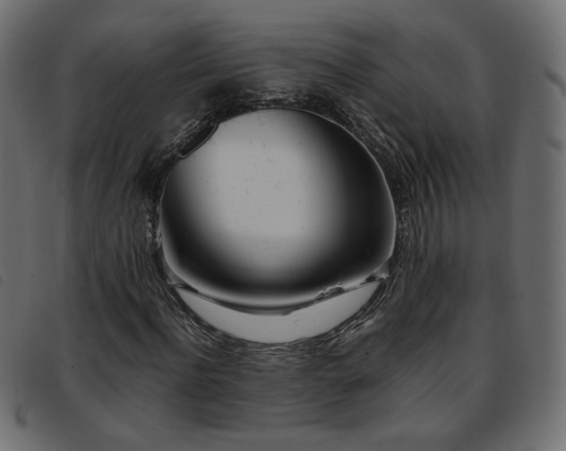 X0000093770916200710161239