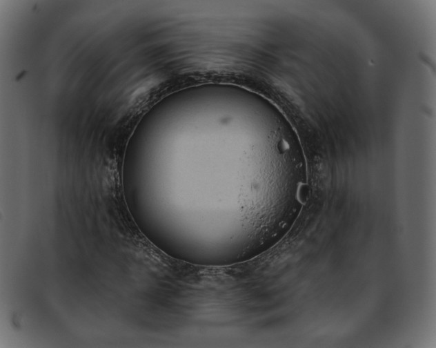X0000093770918200710161239