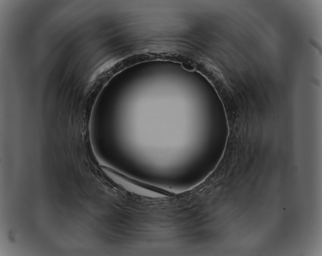 X0000093770920200710161239
