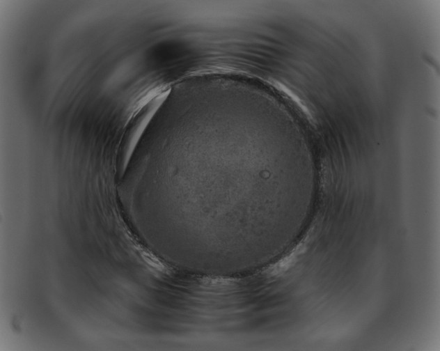 X0000093770921200710161239