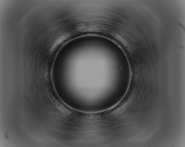 X0000093770922200710161239
