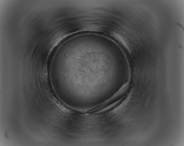 X0000093770923200710161239