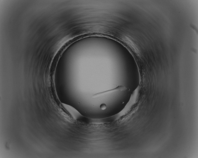 X0000093770924200710161239