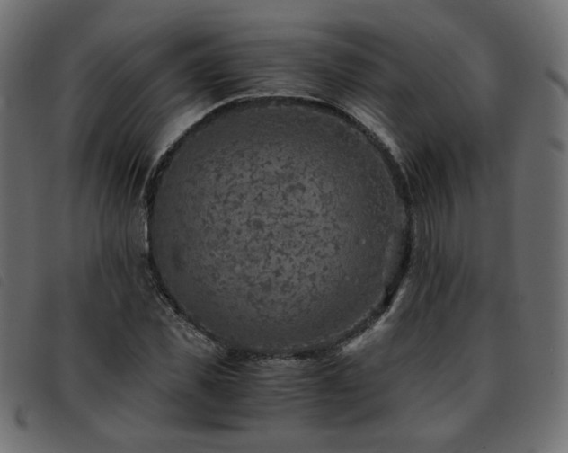 X0000093770925200710161239