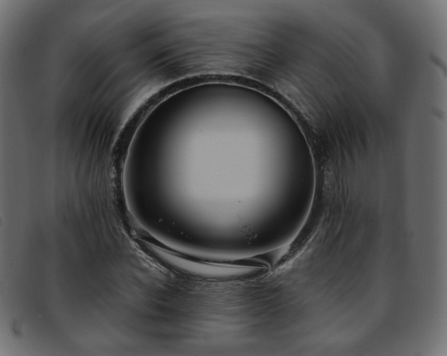 X0000093770926200710161239