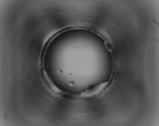 X0000093770928200710161239