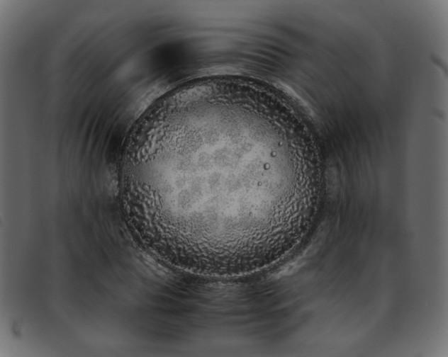 X0000093770929200710161239