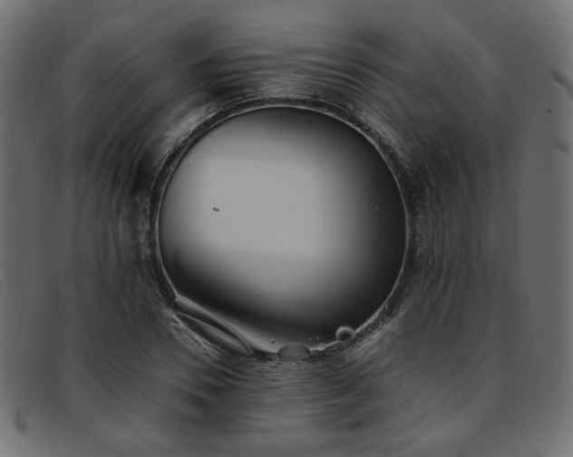 X0000093770930200710161239