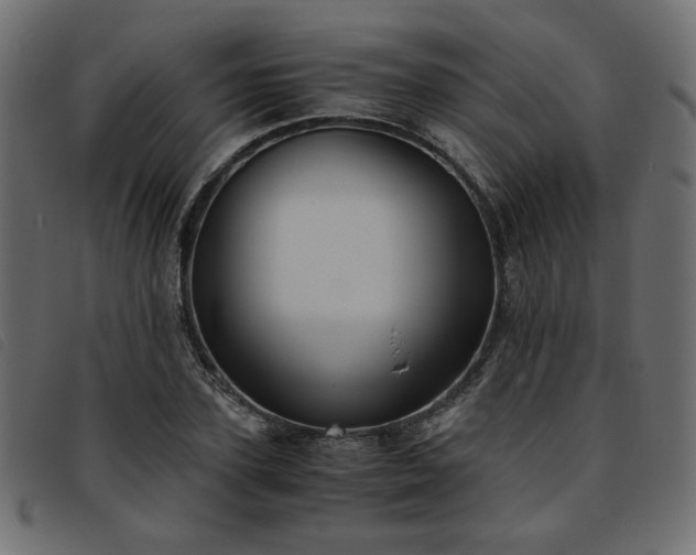 X0000093770931200710161239