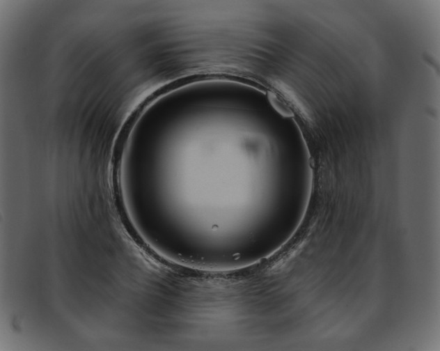 X0000093770932200710161239