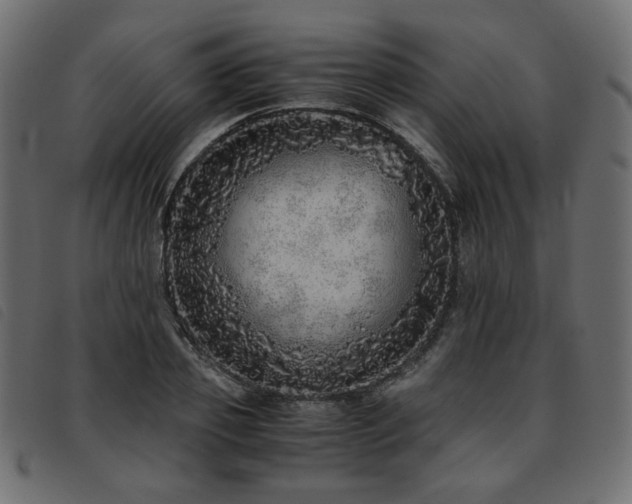 X0000093770933200710161239