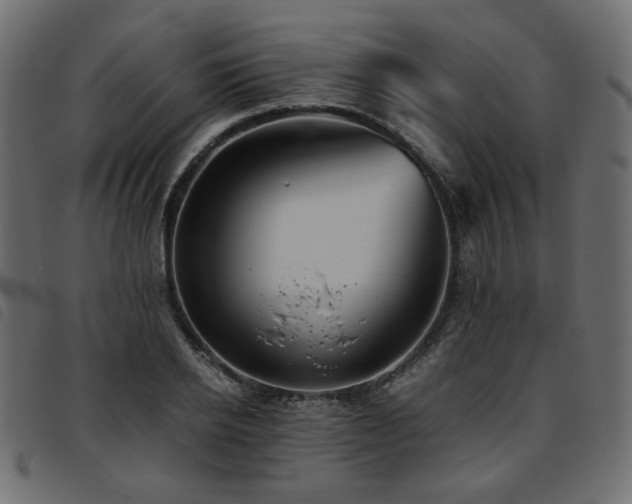 X0000093770934200710161239