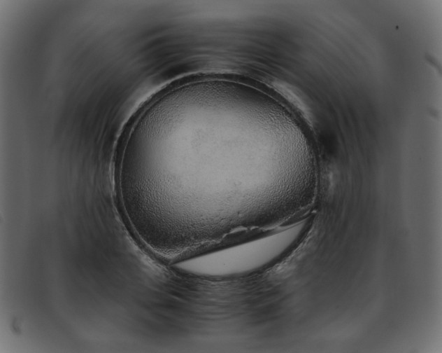 X0000093770935200710161239