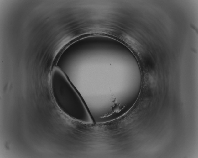 X0000093770936200710161239