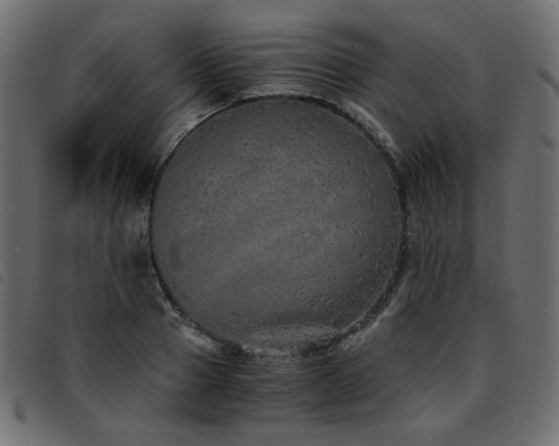 X0000093770937200710161239