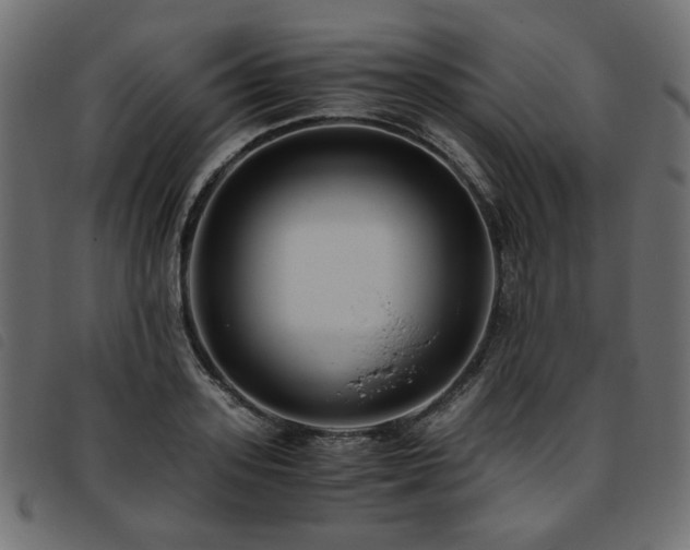 X0000093770939200710161239