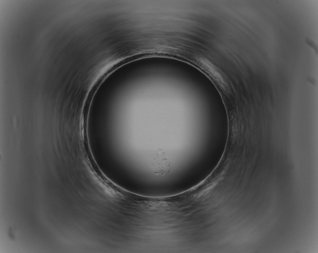 X0000093770940200710161239