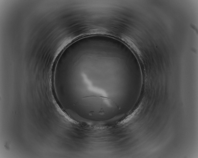 X0000093770941200710161239