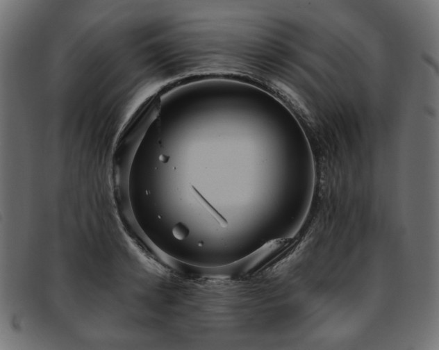 X0000093770942200710161239