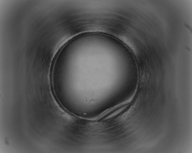 X0000093770943200710161239