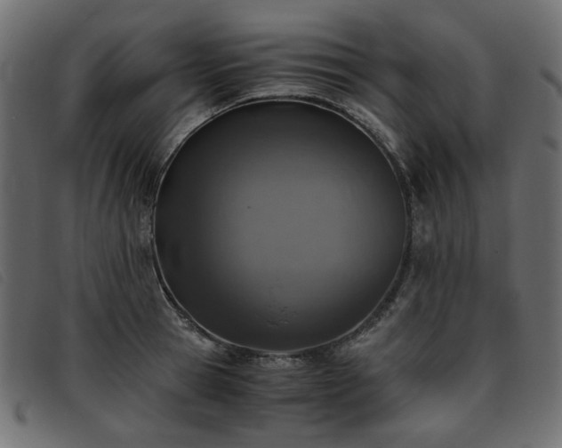 X0000093770945200710161239