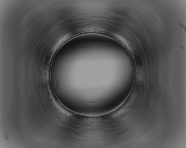 X0000093770946200710161239