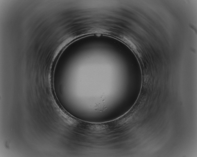 X0000093770947200710161239