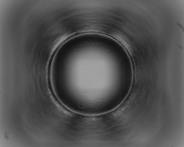 X0000093770949200710161239
