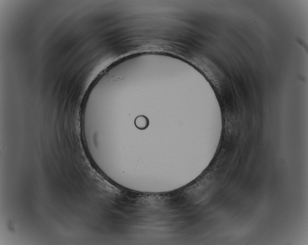 X0000093770950200710161239