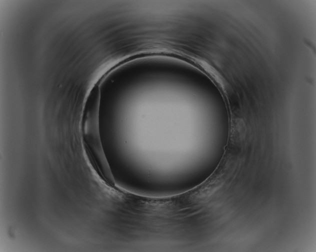 X0000093770951200710161239