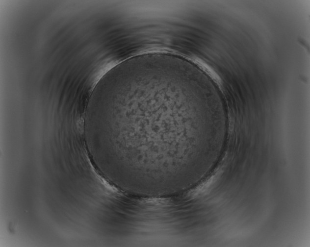 X0000093770953200710161239