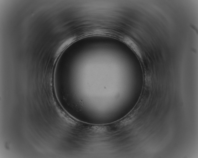 X0000093770954200710161239
